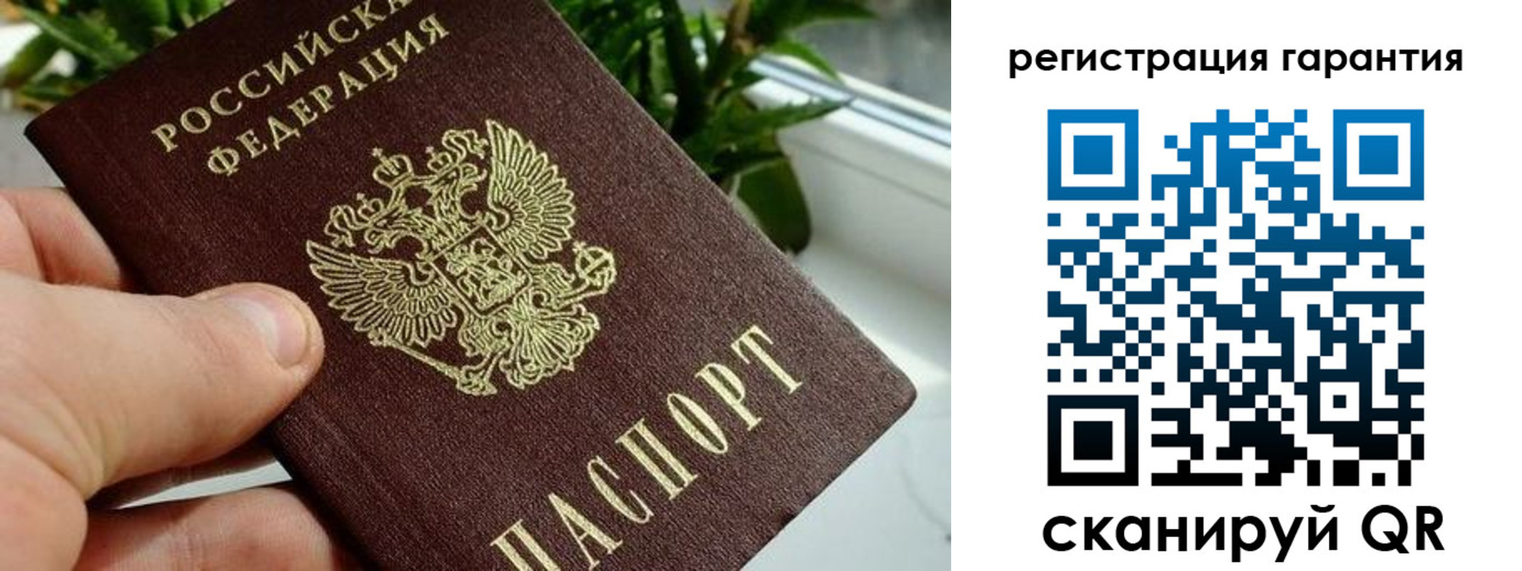 временная регистрация надежно в Старом Осколе